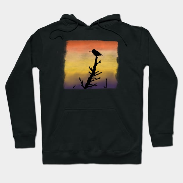 Hummingbird Silhouette Sunset Hoodie by FernheartDesign